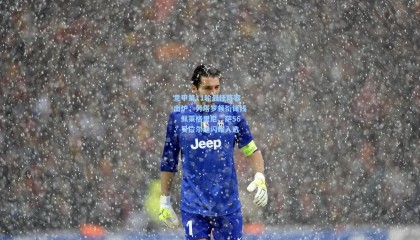 意甲第11轮最佳阵容出炉，劳塔罗领衔锋线，佩莱格里尼、萨56、贝拉尔迪闪耀入选