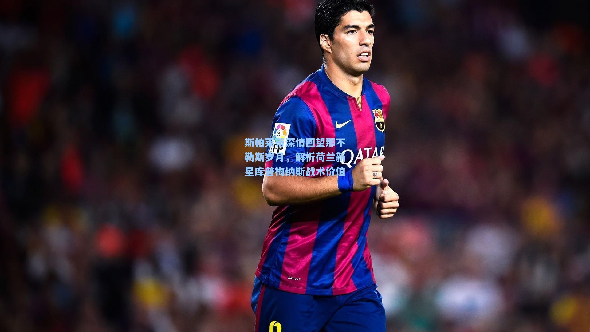 斯帕莱蒂深情回望那不勒斯岁月，解析荷兰新星库普梅纳斯战术价值